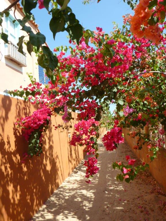 Boca-Uchire-Arco-Trinitarias