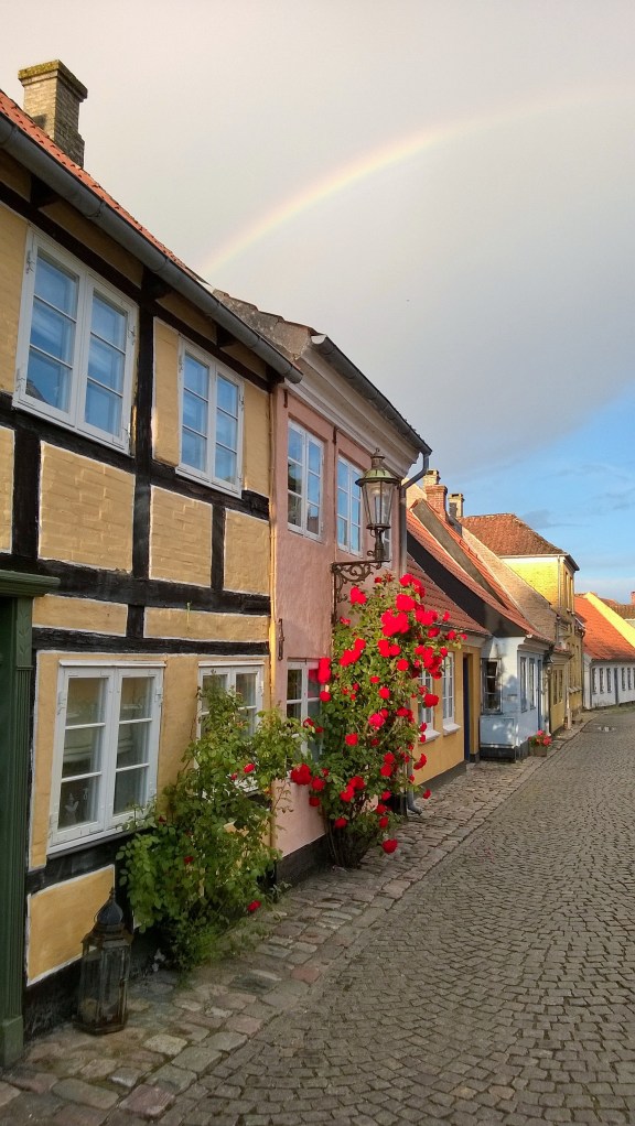 12-Aero-Calle-Principal